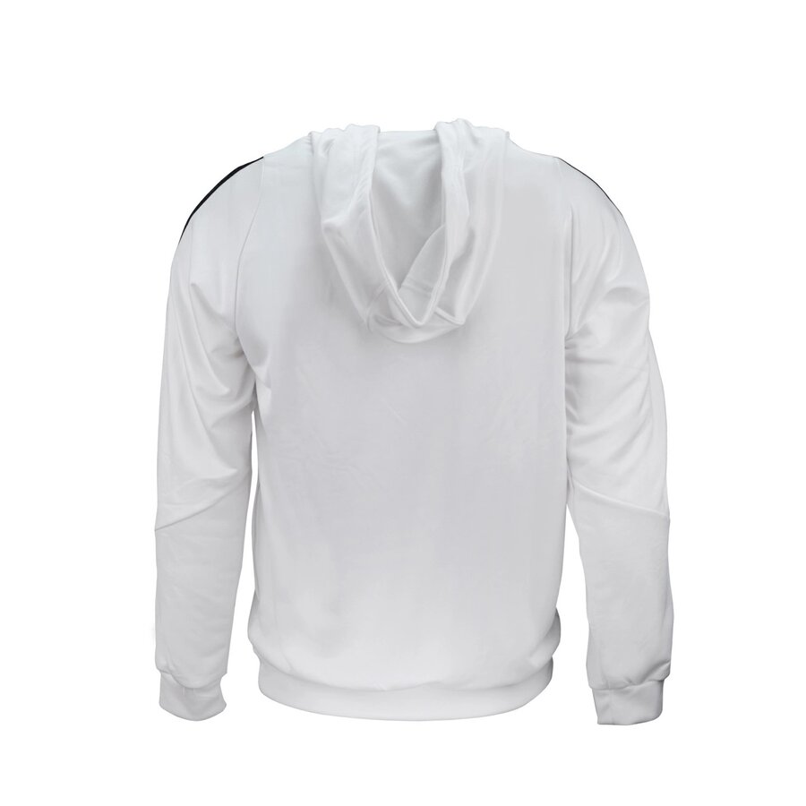 adidas Beşiktaş Kapuzenpullover 24-25 IR9399