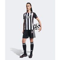 adidas Beşiktaş Damentrikot Gestreift 25-26