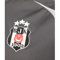 adidas Beşiktaş 4. Alternative Shirt Grey 25-26