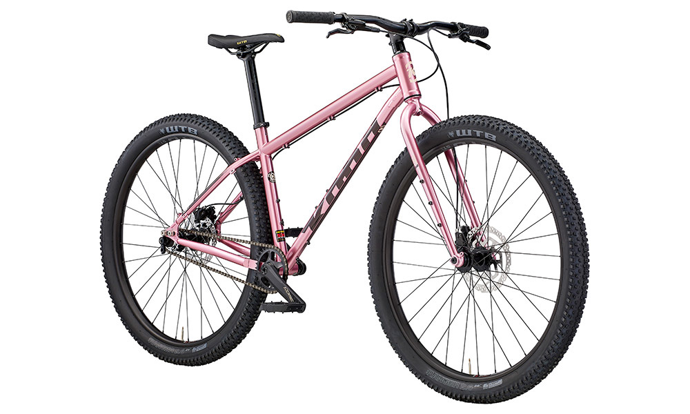 santa cruz chameleon d