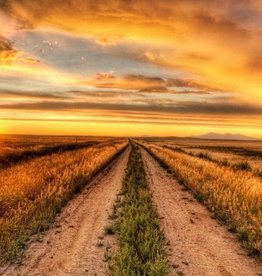 Road