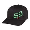 Caps / Beanies