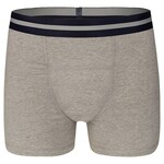 UnderWunder Men's Boxer, gray