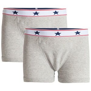 Boys Boxer, gray (set price)
