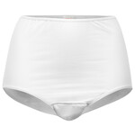 UnderWunder Advantage package of 5 maxi briefs, color mix to be determined