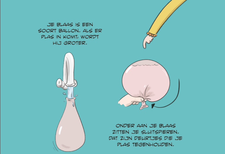 bedplassen en blaastraining