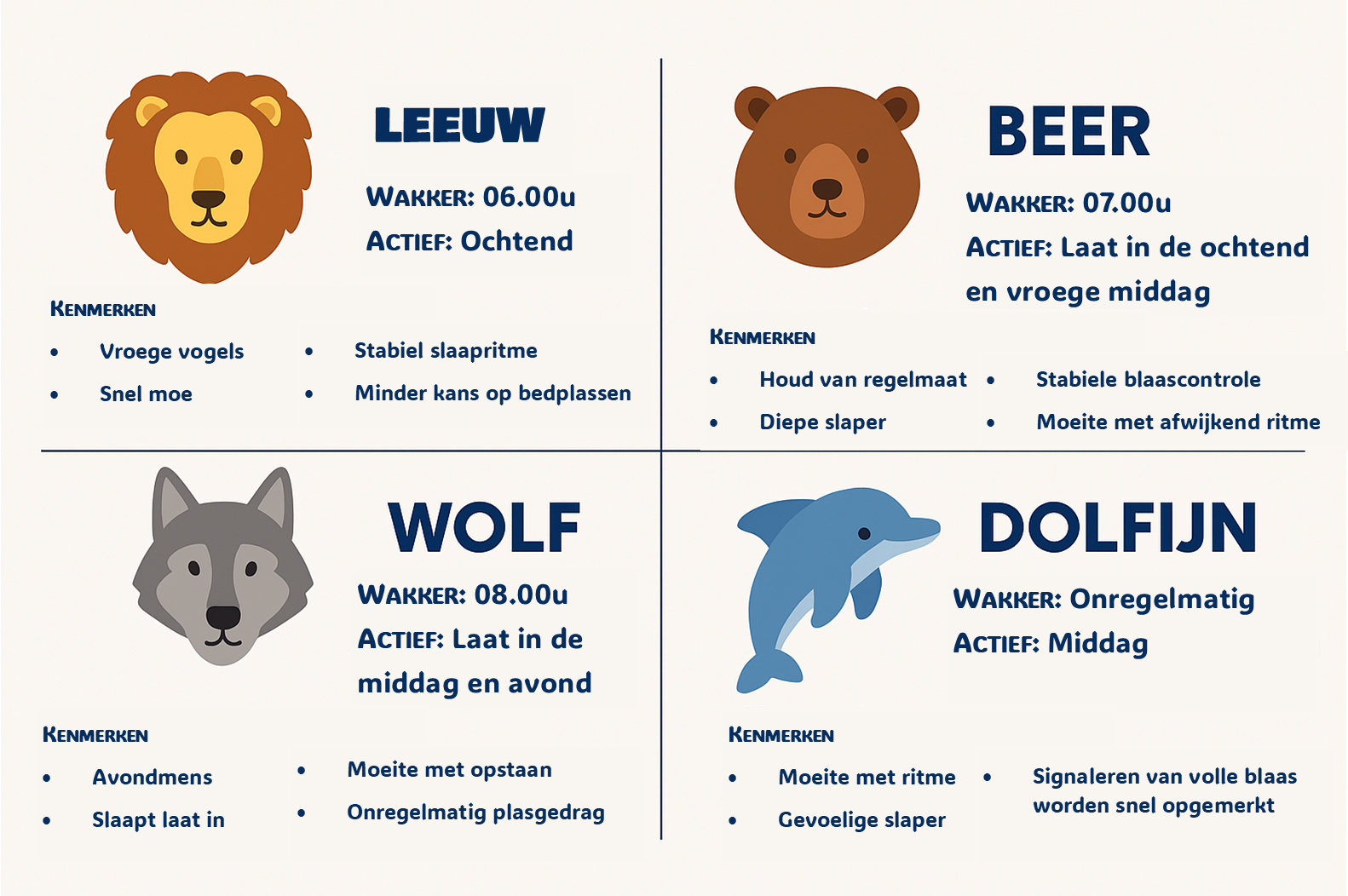 Overzicht van de vier chronotypes (leeuw, beer, wolf en dolfijn) met hun kenmerken