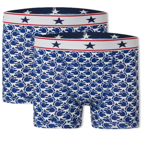 UnderWunder UnderWunder Boys boxers - pack of 2