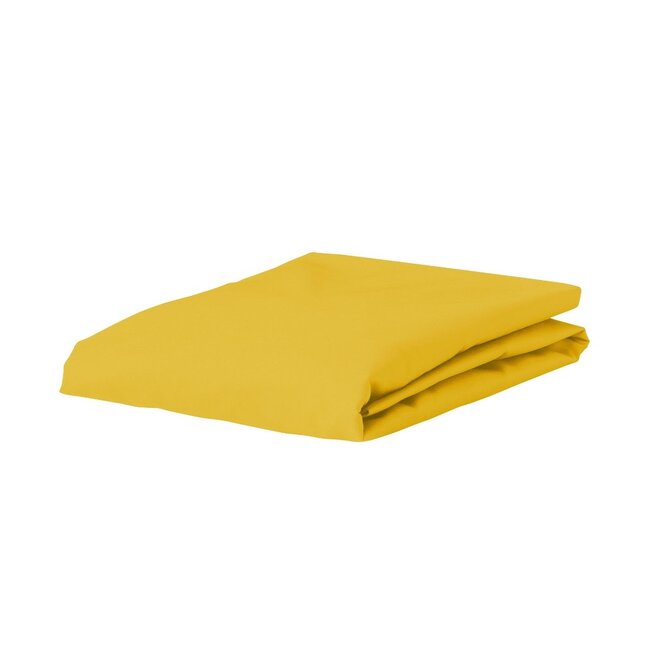 Organic Jersey Mustard