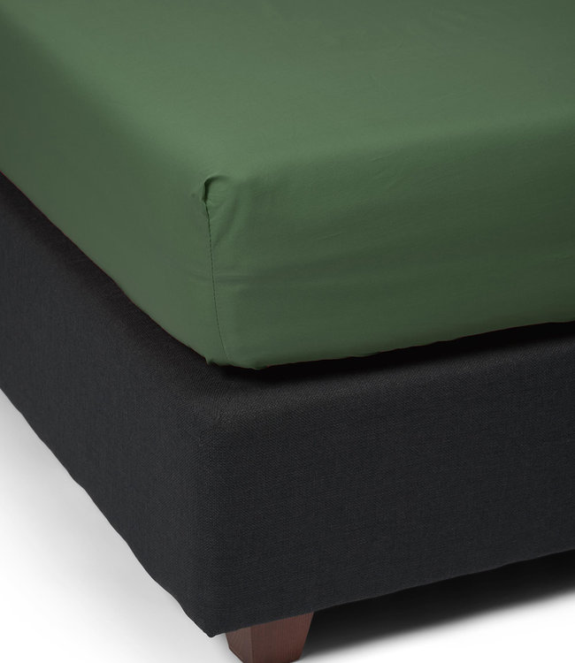 Essenza Premium Percale Hoeslaken Moss