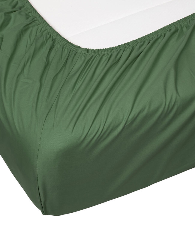 Essenza Premium Percale Hoeslaken Moss