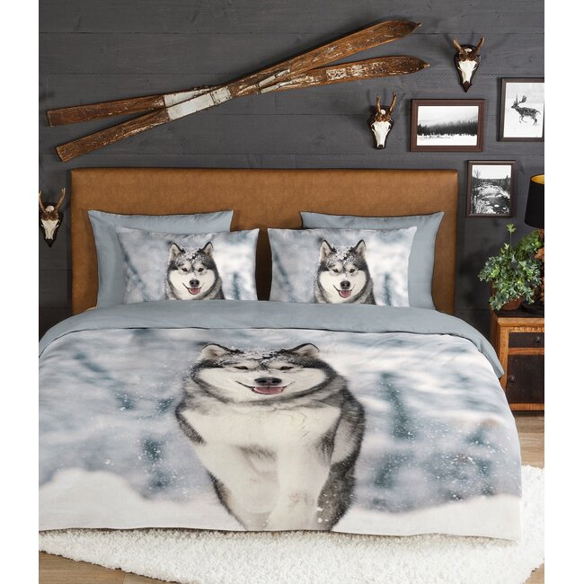 Husky, grijs