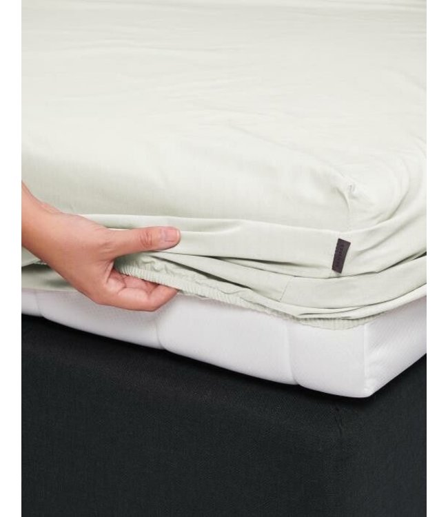 Essenza Hoeslaken Minte Oyster