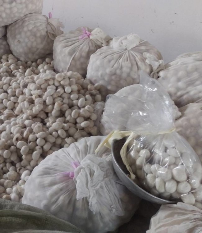 Zomerdekbed Dolce met zijden tijk 200x220