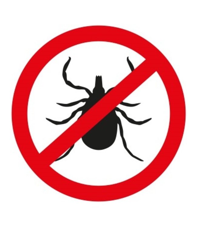 Synthetisch Dekbed Elke 4-seizoenen 240x200