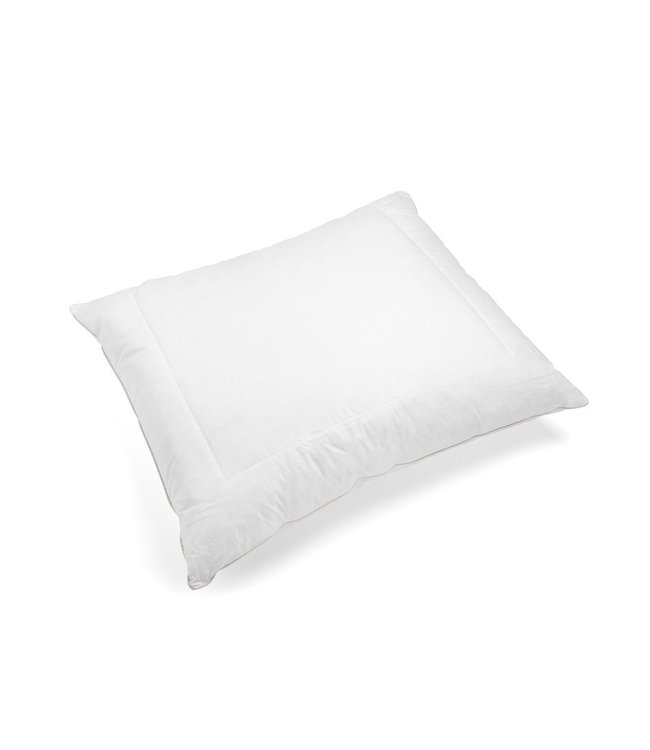 Waddendons Hoofdkussen Dons