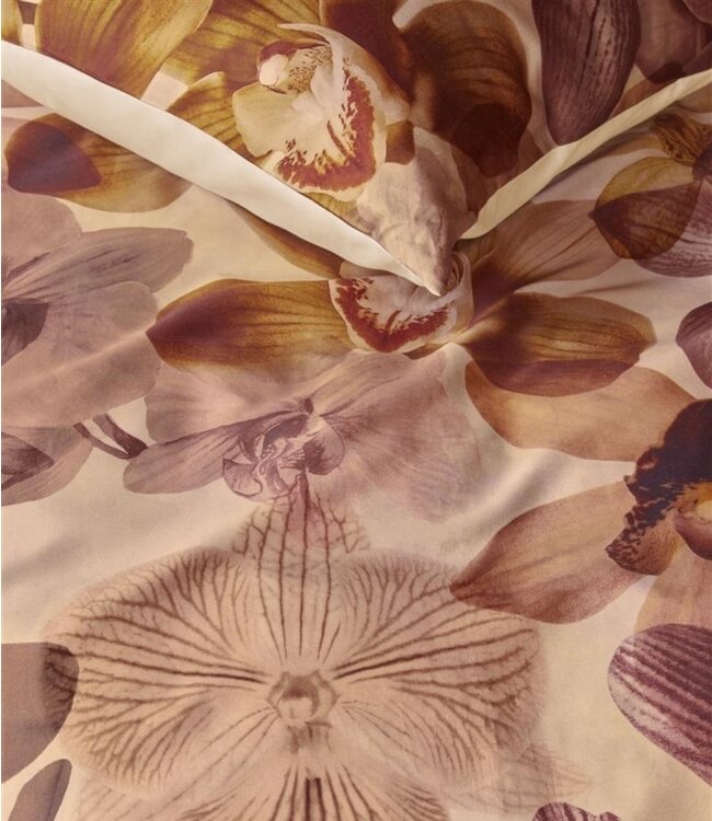 Beddinghouse Dekbedovertrek Orchid Terra 140 x 200/220