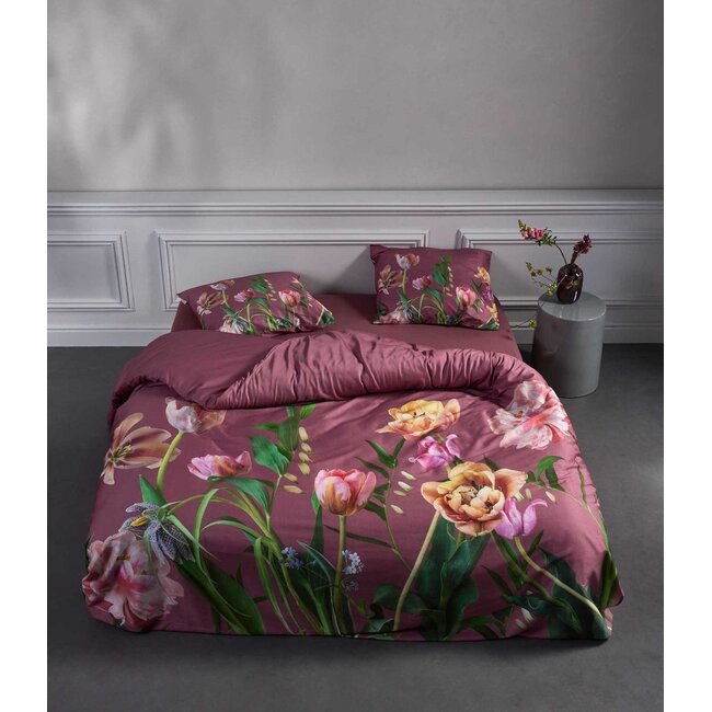 Eloise, mauve