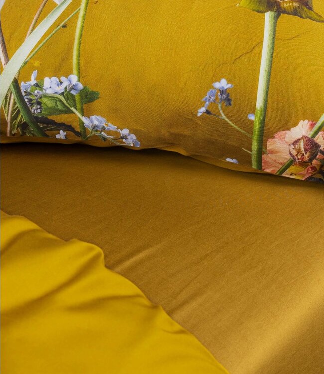 Essenza Dekbedovertrek Ficaria Flower Ochre