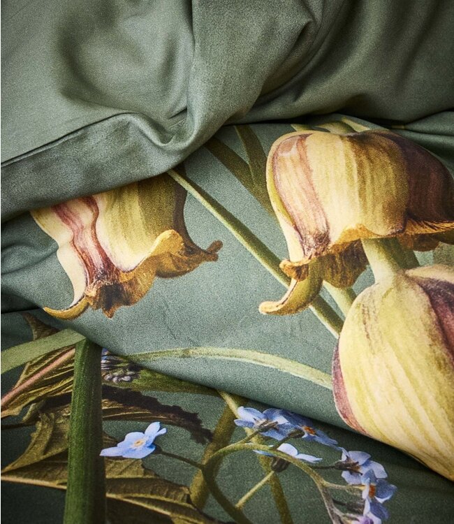 Essenza Dekbedovertrek Ficaria Greenish