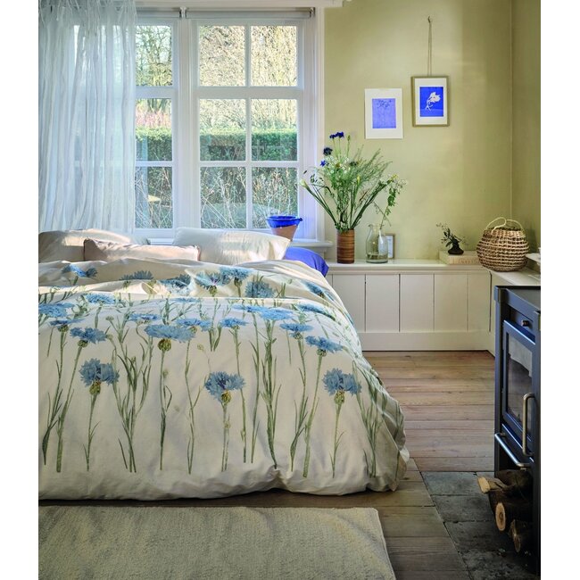 Cornflower, zand
