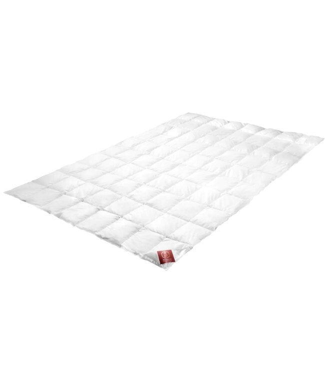 Classica Light Ganzendonzen Zomerdekbed