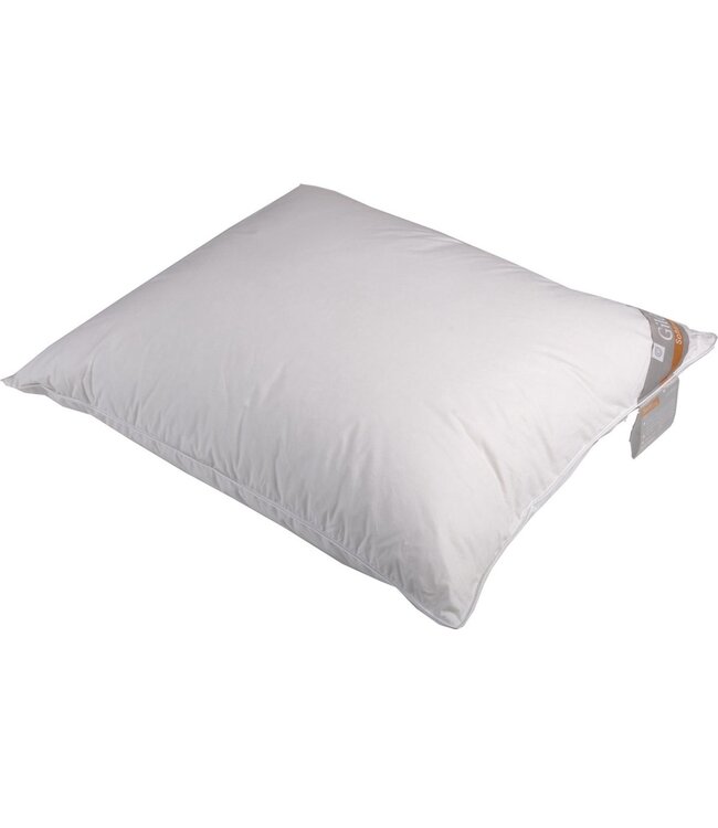 Gilder  Softline donzen hoofdkussen