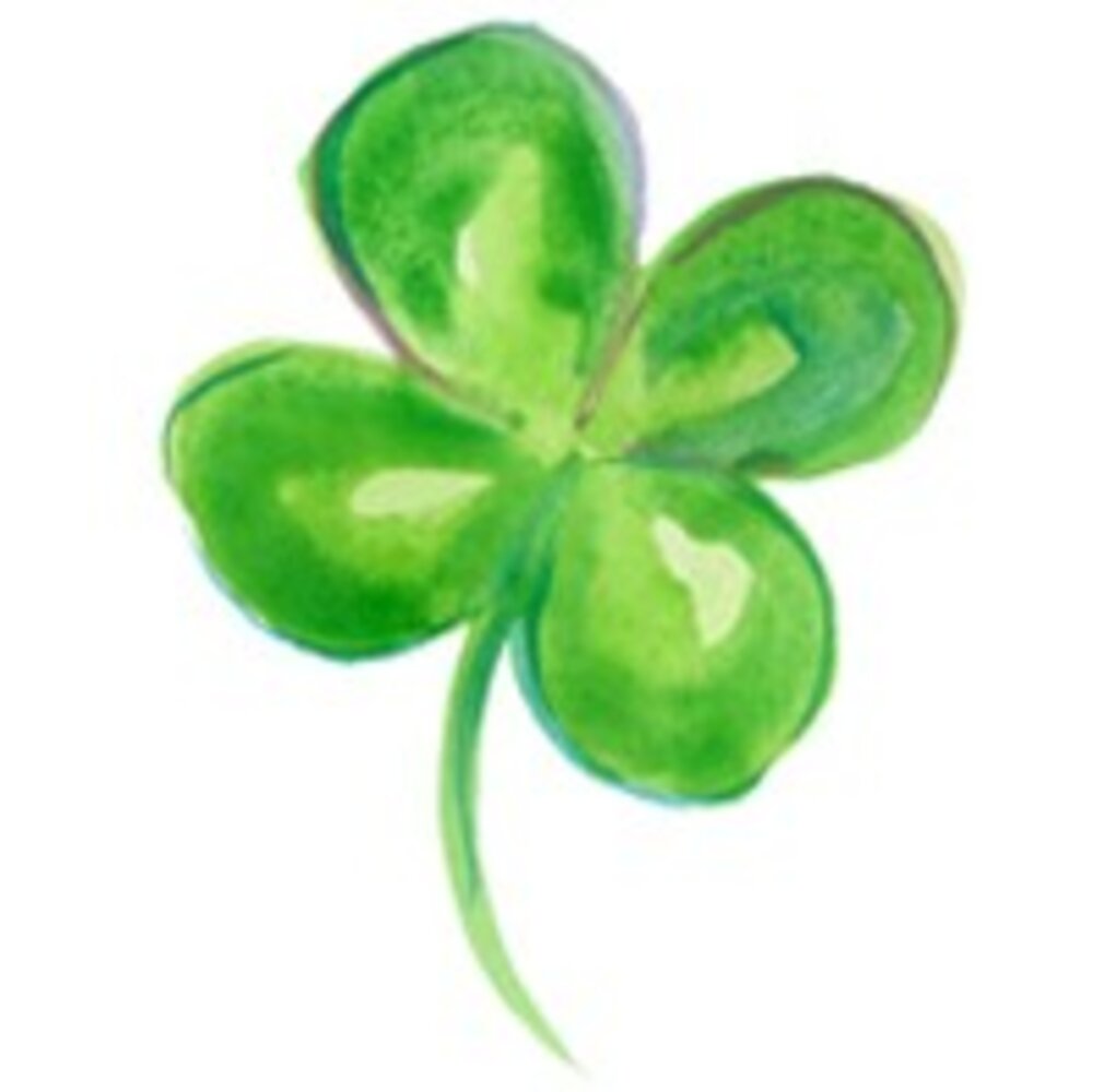 pure & true test menu