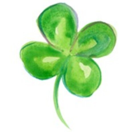 pure & true test menu