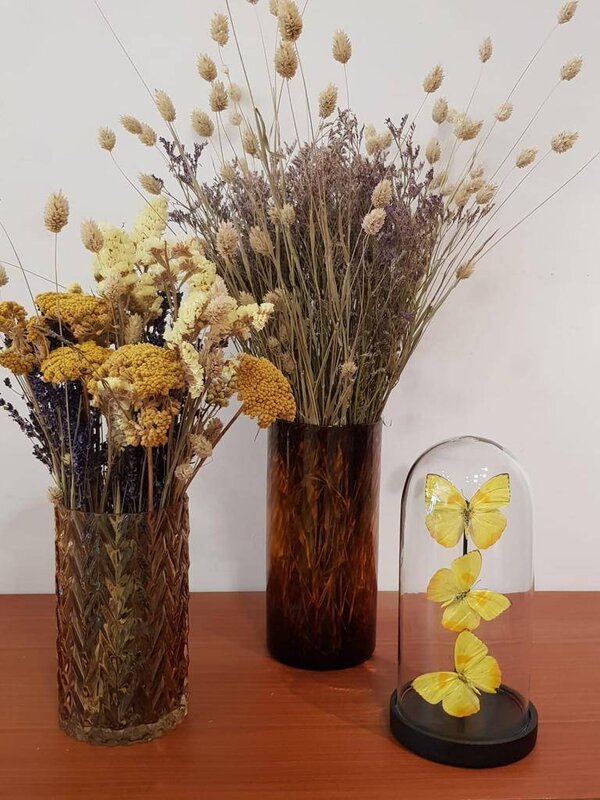 Bloomingville Vase Tortue 4. Tortue vase by BLOOMINGVILLE<br /><br />
Size: Ø12xH25 cm<br /><br />
Kleur: brown printed<br /><br />
Material: glass<br />
...