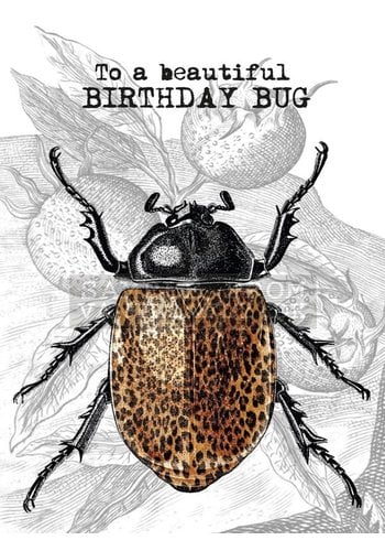 Vanillafly Wenskaart Birthday Bug