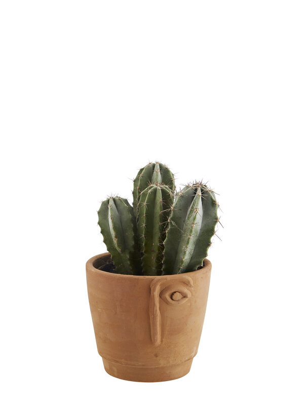 Madam Stoltz Terracotta Flower Pot Face 4. A flower pot with a beautiful plant in it brightens up your interior completel...