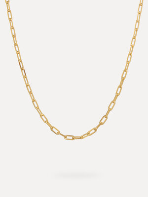 Necklace Roma Big Chain. Bring a classic piece of jewelery into your collection with this link necklace. Wear this neckla...