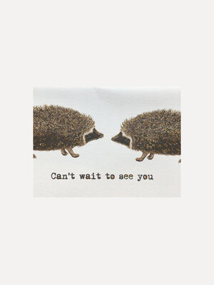 Greeting card Hedgehog. Quirky and fun - humorous greeting cards. Send a card and spread some joy to those you love. High...