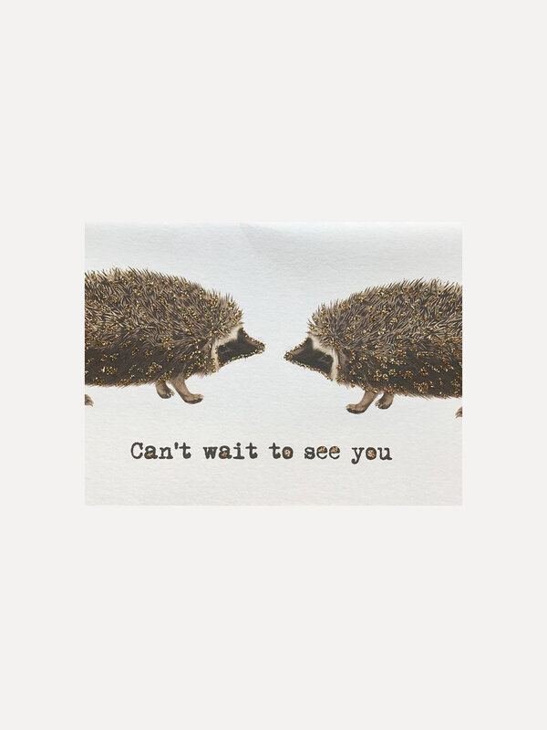 Vanillafly Greeting card Hedgehog 1. Quirky and fun - humorous greeting cards. Send a card and spread some joy to those y...