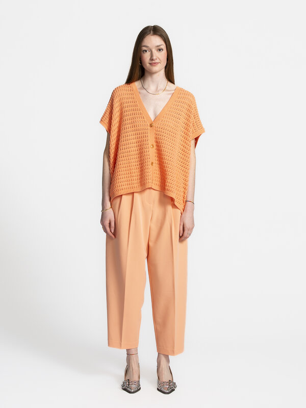Les Soeurs Pleated trousers Johnny 3. Color crush! Want pants that are a little different, but not too much? This one is ...