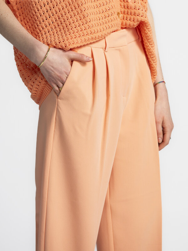 Les Soeurs Pleated trousers Johnny 4. Color crush! Want pants that are a little different, but not too much? This one is ...