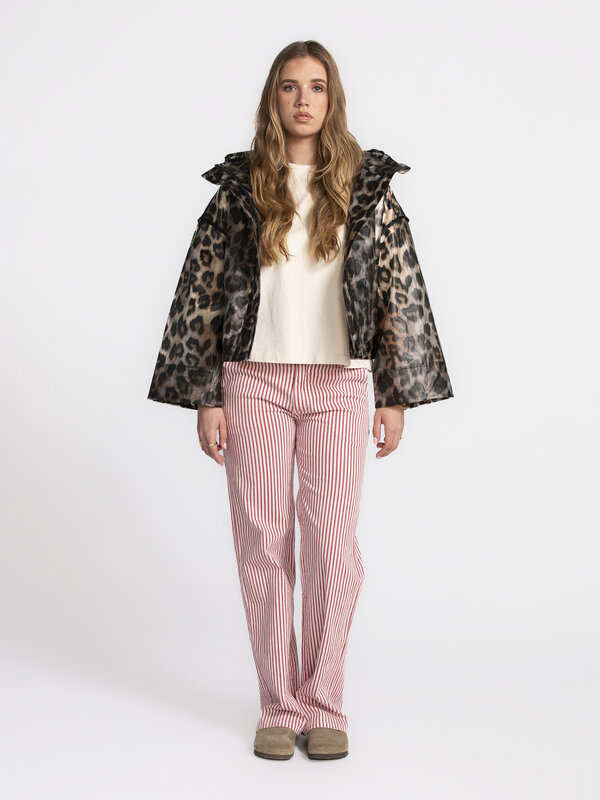 Shop the look 66. 