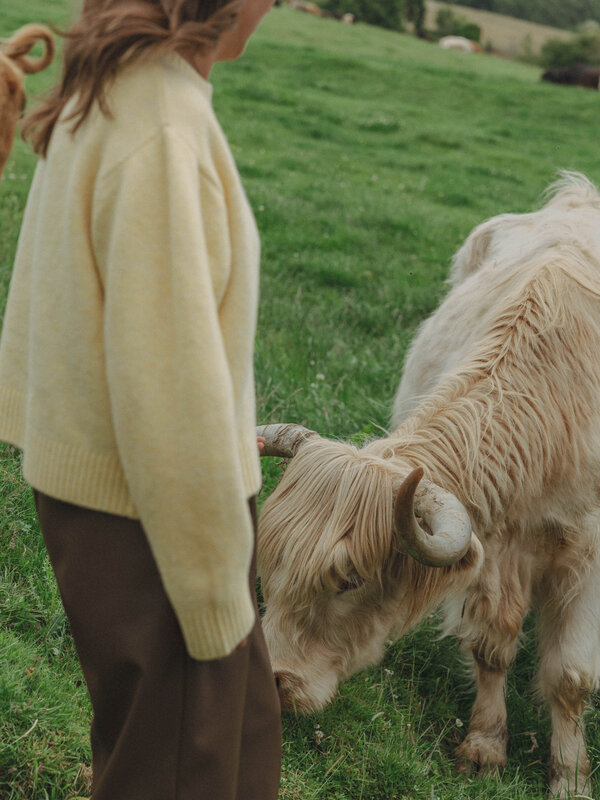 Les Soeurs Trui met ronde hals Megan 8. Soft as butter, fresh as fall. Butter yellow blijft dé kleur van het moment. De z...