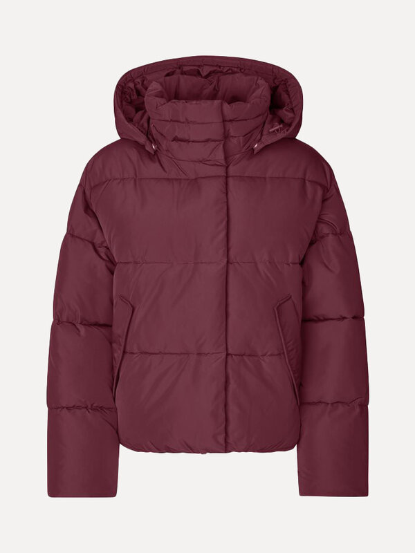 MBYM Pufferjas Mishal 2. Ready for autumn. Deze bordeaux korte pufferjas met afneembare capuchon, opstaande kraag en zijz...