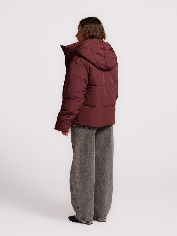 MBYM Pufferjas Mishal 5. Ready for autumn. Deze bordeaux korte pufferjas met afneembare capuchon, opstaande kraag en zijz...