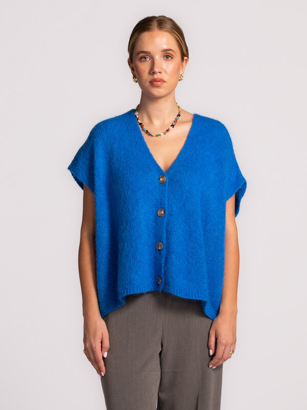 Le Marais Mouwloos gebreid vest Live 1. Ontdek de perfecte balans tussen elegantie en comfort. Deze mouwloze vest met opv...