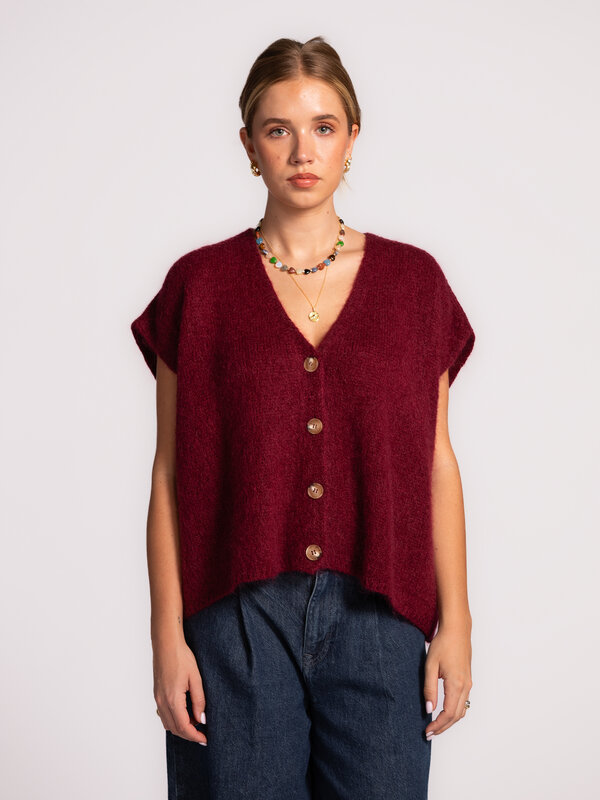Le Marais Mouwloos gebreid vest Live 1. Ontdek de perfecte balans tussen elegantie en comfort. Dit mouwloze bordeaux vest...
