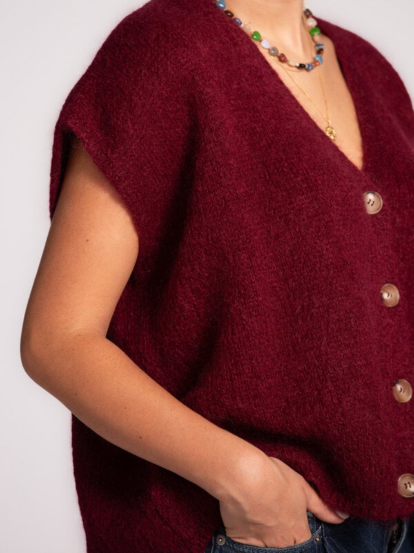 Le Marais Mouwloos gebreid vest Live 4. Ontdek de perfecte balans tussen elegantie en comfort. Dit mouwloze bordeaux vest...
