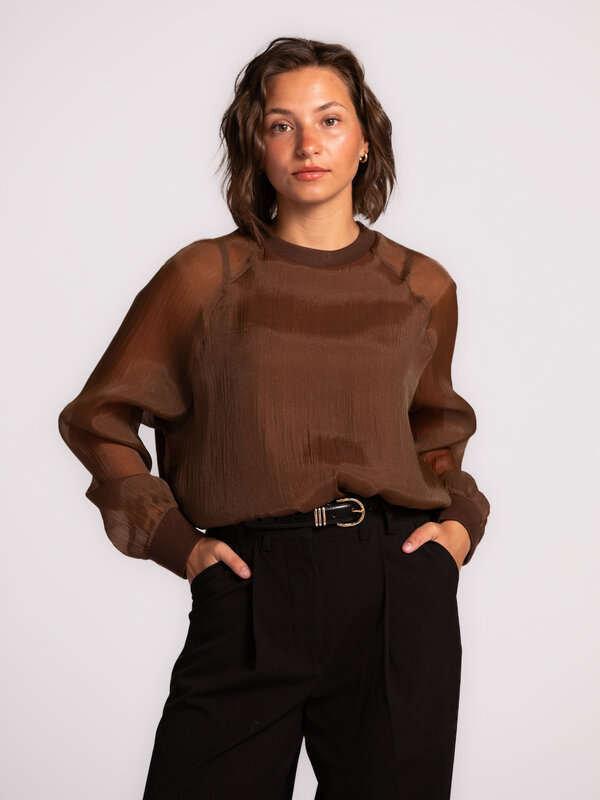 Les Soeurs Organza blouse Maaike 1. Warme bruine organza blouse met lange, transparante mouwen. De subtiele glans en lich...