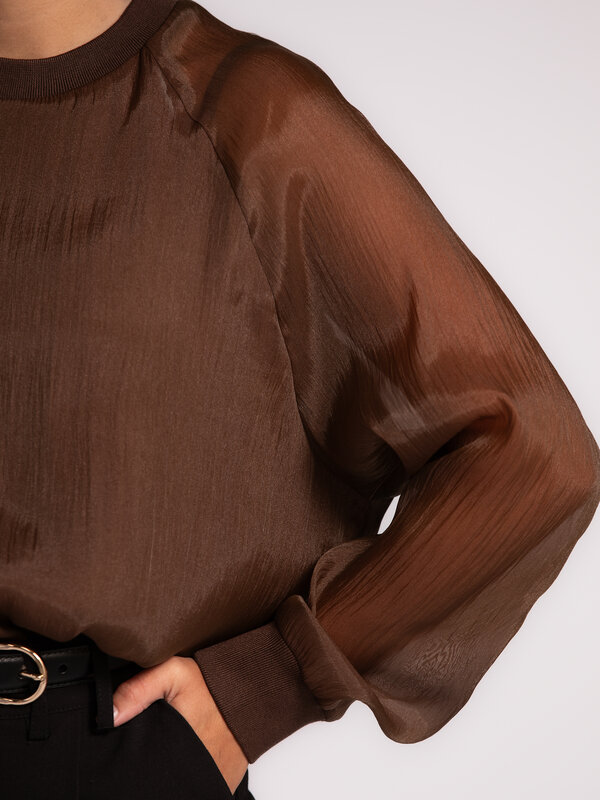 Les Soeurs Organza blouse Maaike 4. Warme bruine organza blouse met lange, transparante mouwen. De subtiele glans en lich...