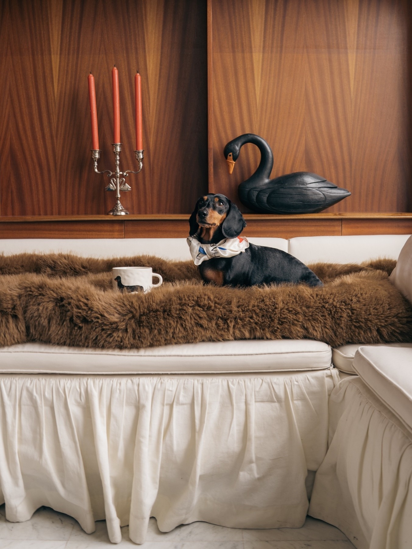 Anna + Nina Mok Dachshund 2. Voor liefhebbers van teckels en kleine, charmante details. Deze mok met teckel illustratie b...