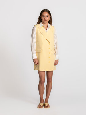Dress Helena. Power dressing, redefined. This sleeveless blazer dress combines a sharp cut with a soft, summery shade. Th...