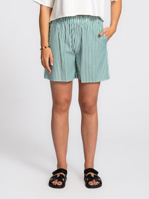 Short Ivy. Een vleugje speelsheid in je outfit. De lichte stof en frisse strepen geven een ontspannen, maar levendige uit...