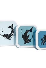 Petit Monkey Lunchbox set sea animals